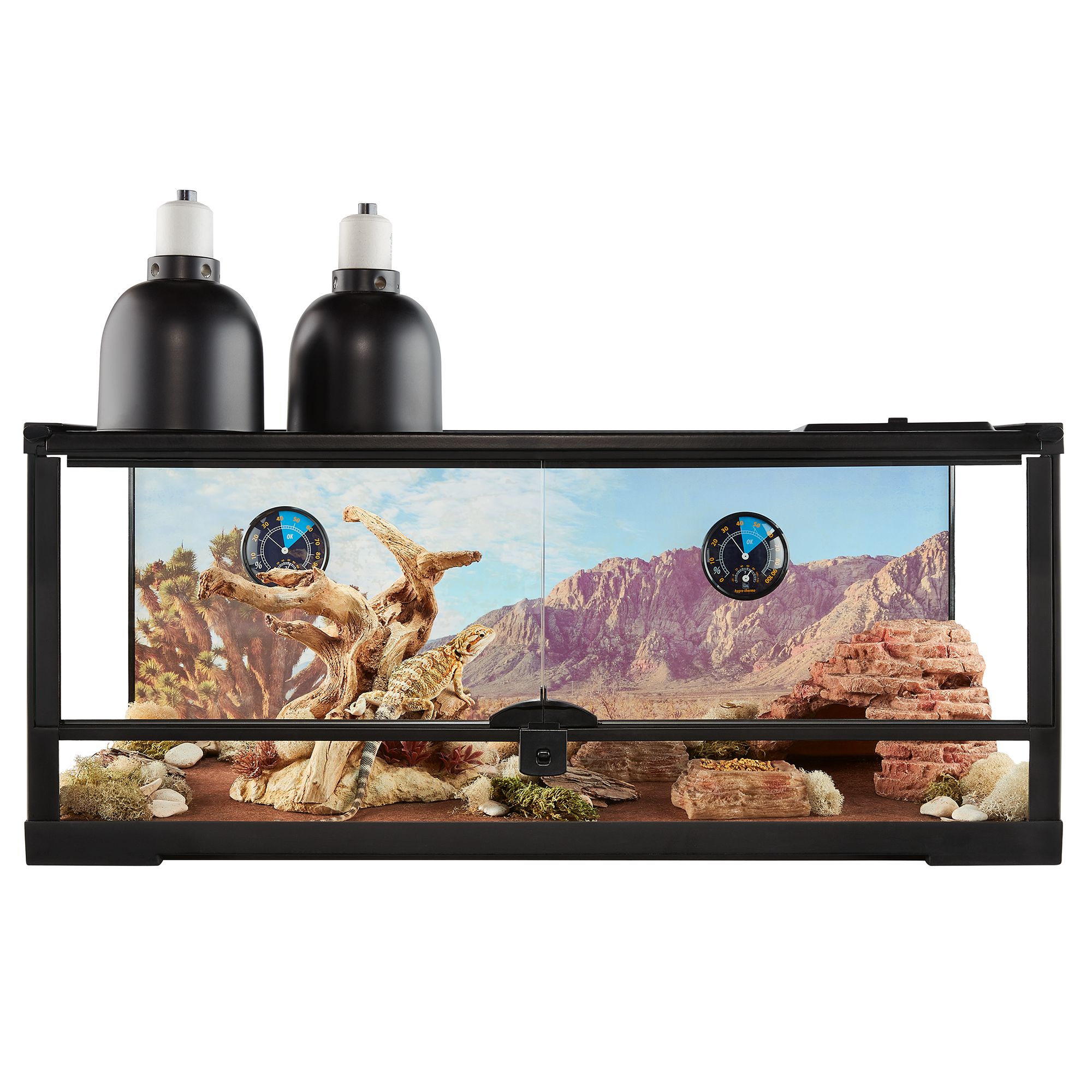 Thrive Open Front Desert Reptile Terrarium Essentials Kit 20G