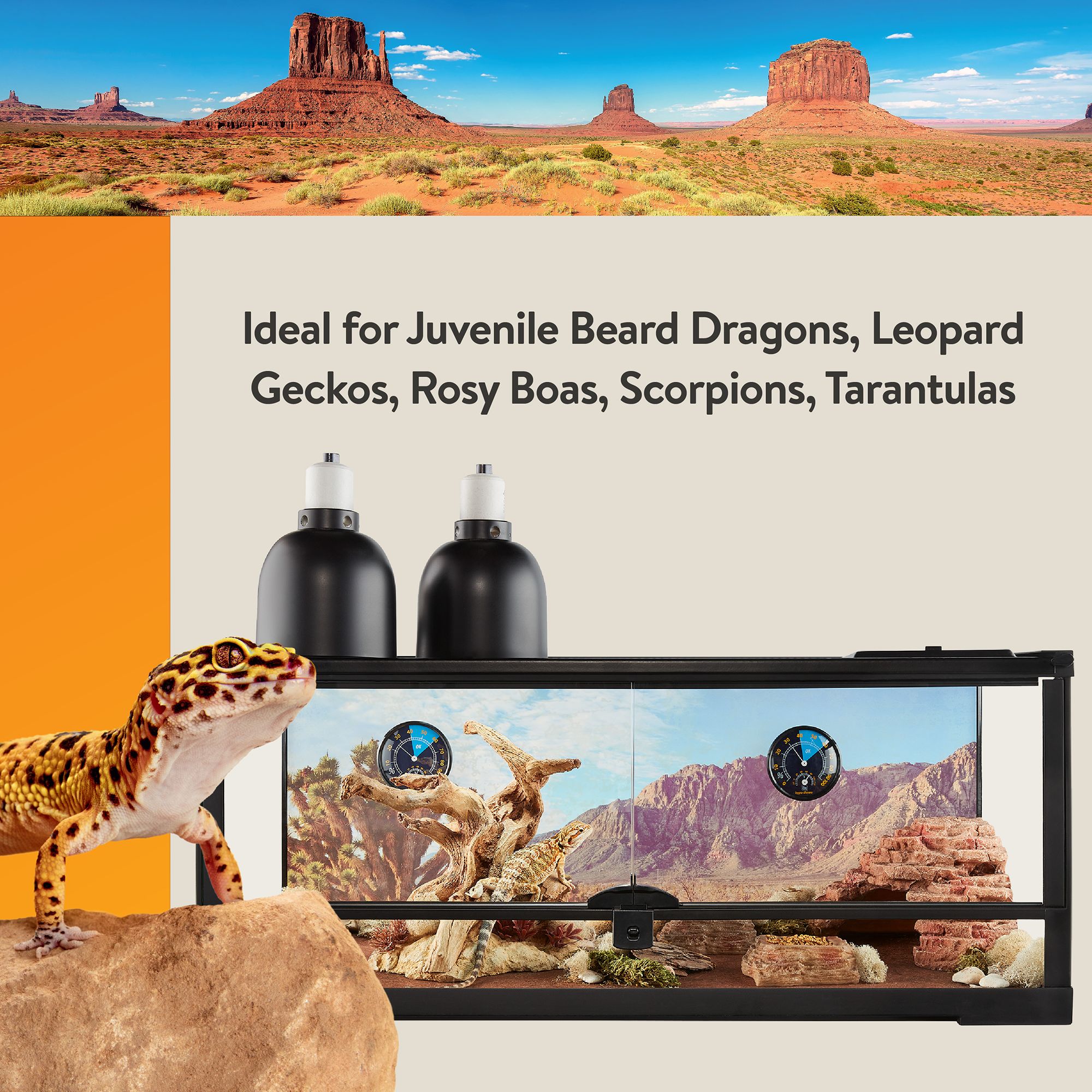 Thrive Open Front Desert Reptile Terrarium Essentials Kit - 20 Gallon - 30x12x12 - thumbnail 5
