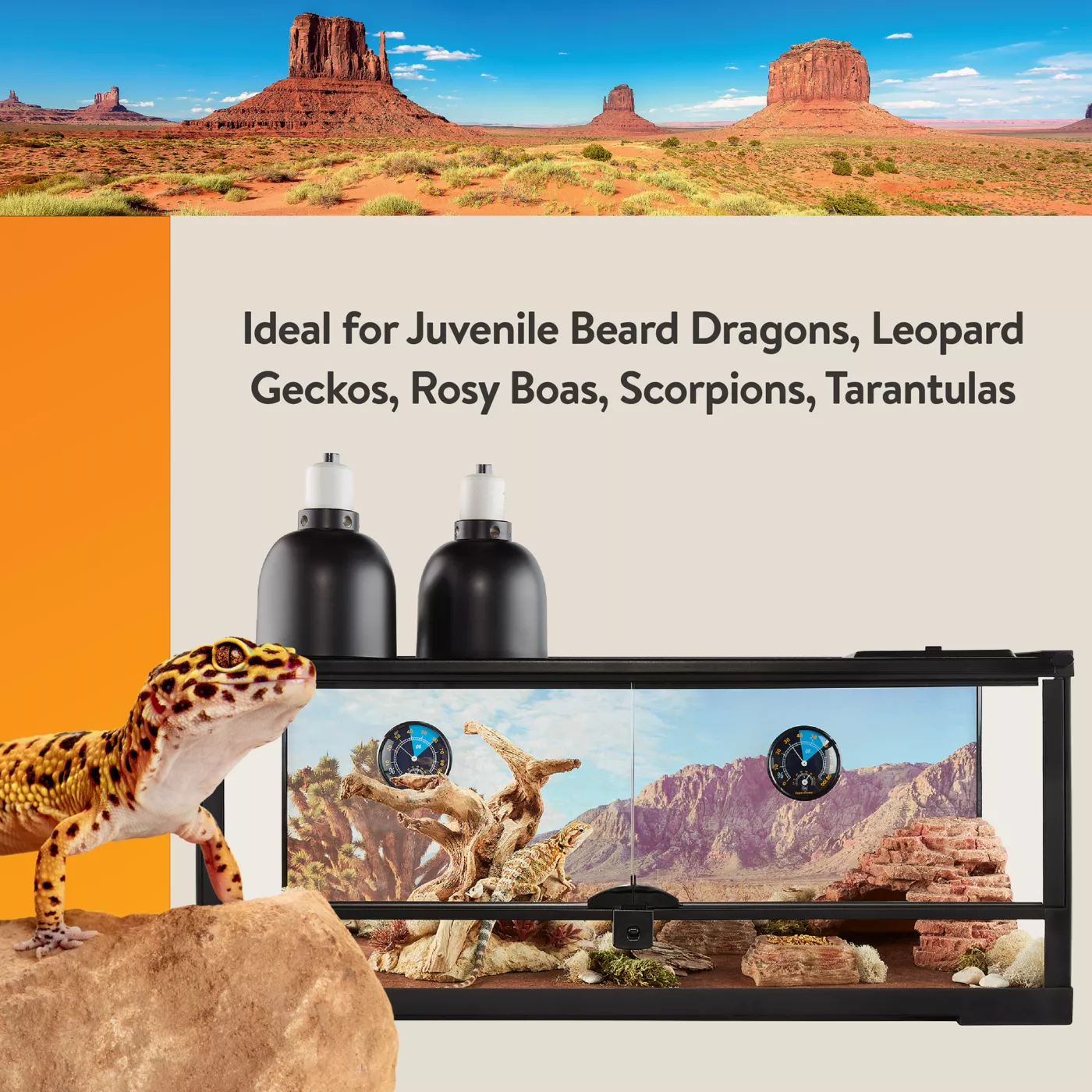 Thrive Open Front Desert Reptile Terrarium Essentials Kit 20G