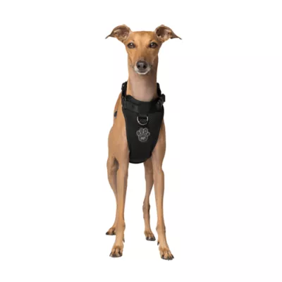 Product Canada Pooch Dog Harness - Black