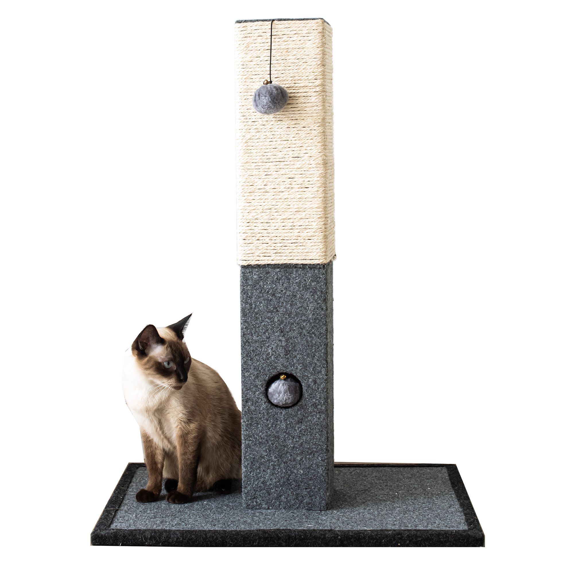 Petsmart 2025 cat scratcher