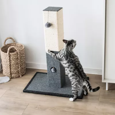 Petsmart cat scratching posts best sale