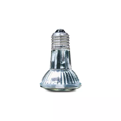 Product Arcadia Reptile Halogen Flood Lamp