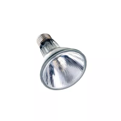 Product Arcadia Reptile Halogen Flood Lamp