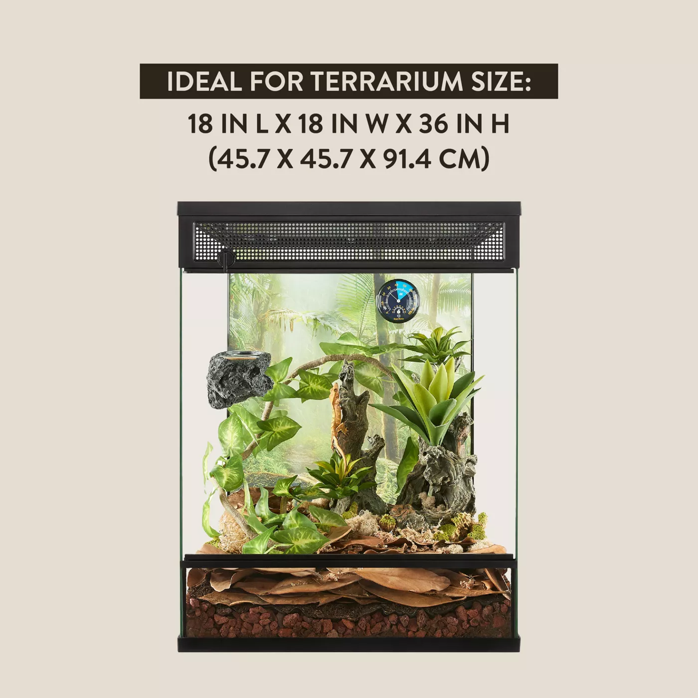 Bioactive terrarium kit best sale