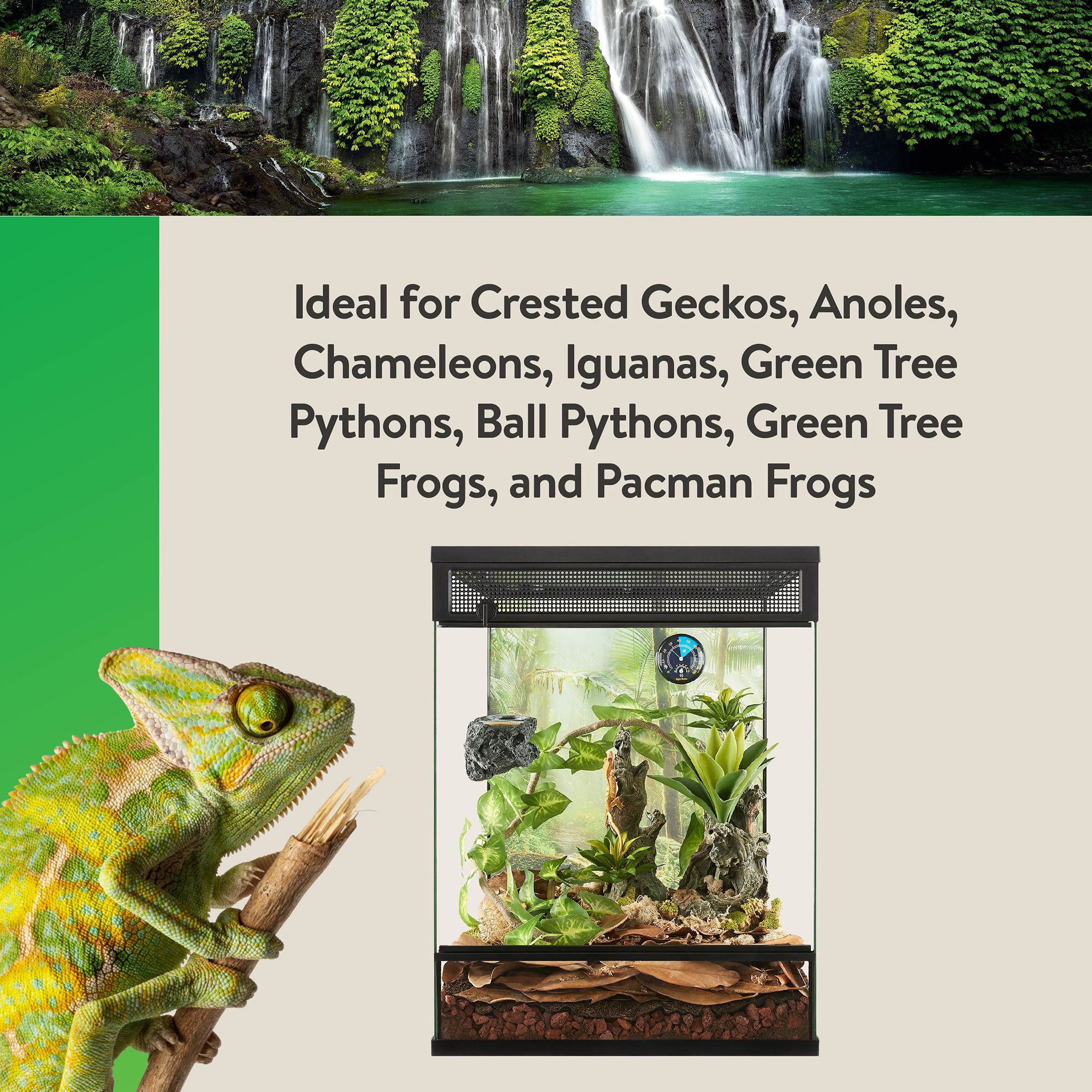 Thrive Bioactive Substrate Kit - Bioactive Reptile Substrate - thumbnail 6