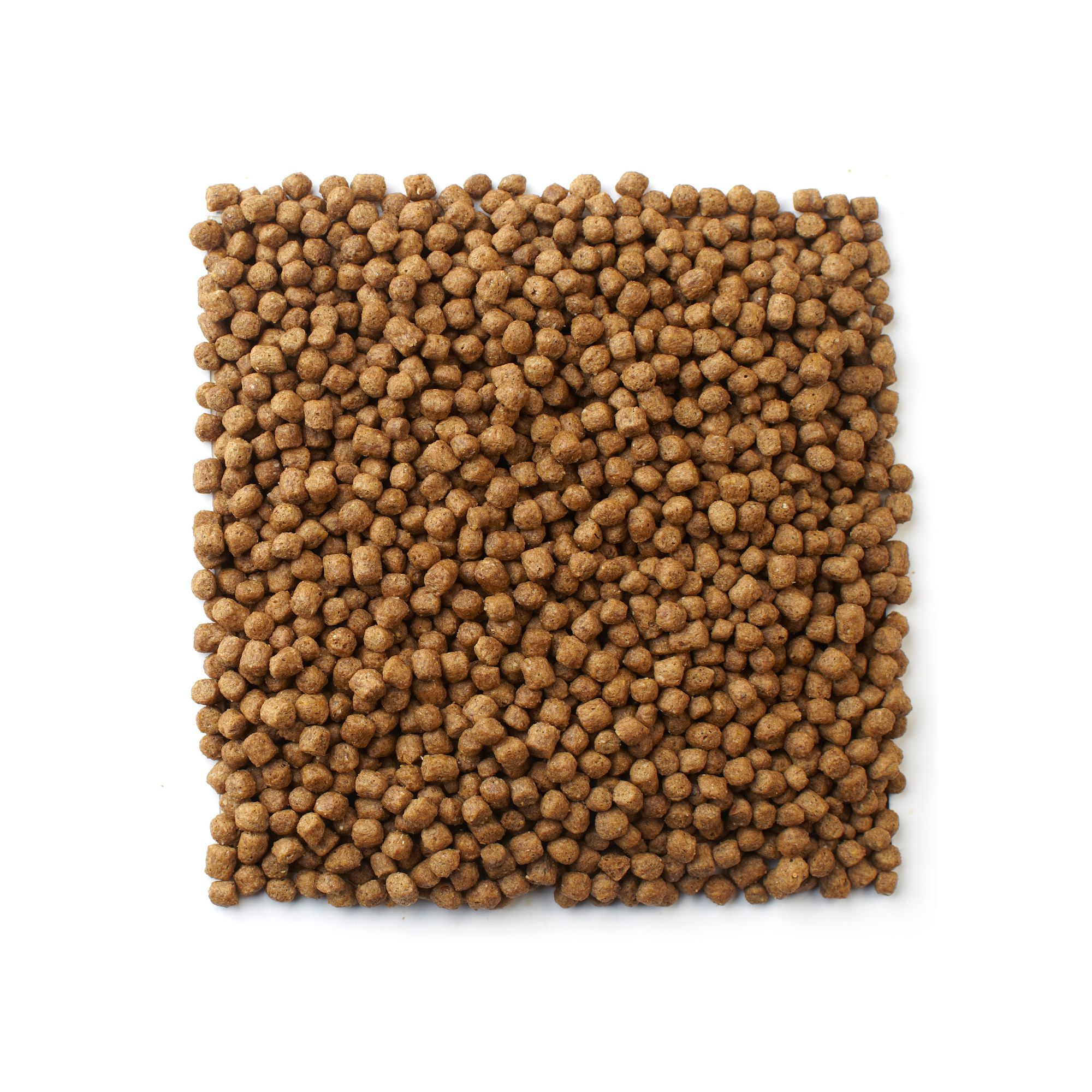 Mazuri Aquatic Turtle Diet - Aquatic Turtle Food - 12 oz - thumbnail 3