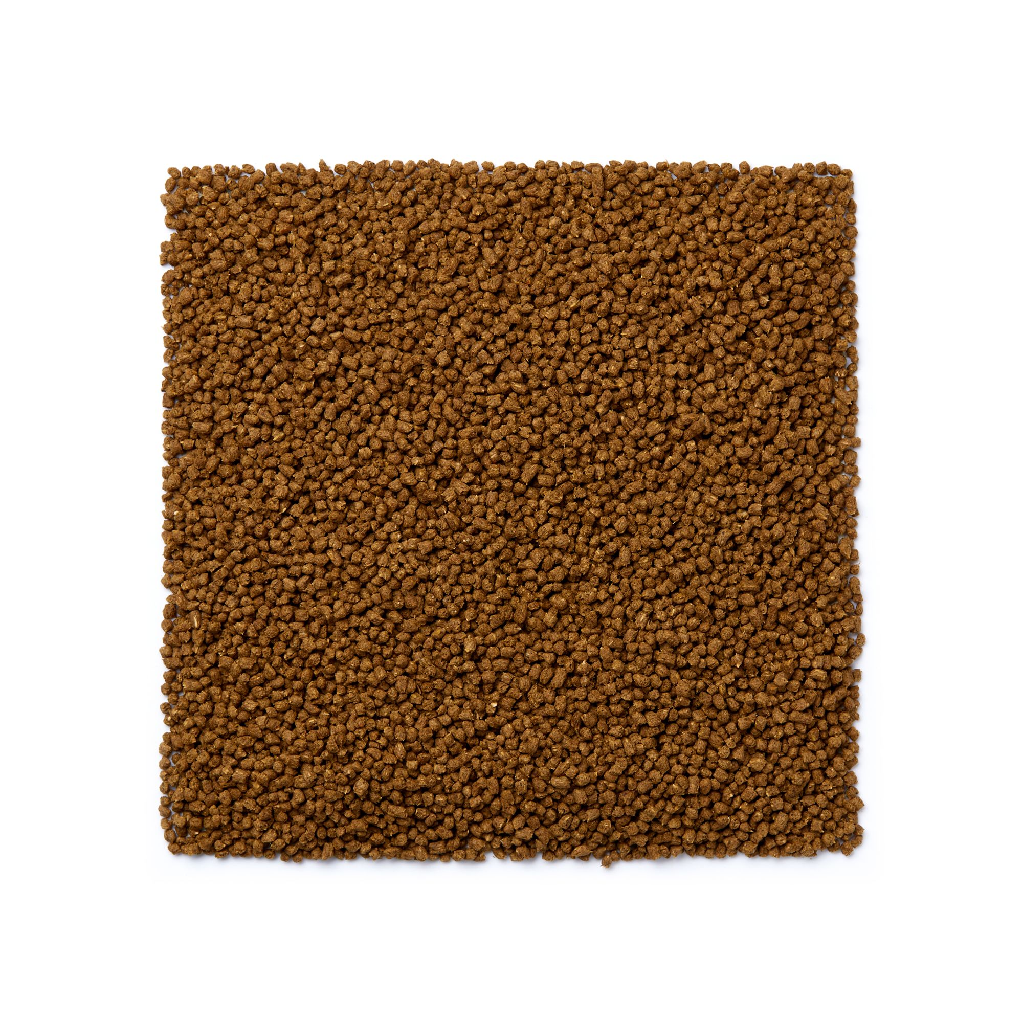 Mazuri tortoise food petsmart best sale