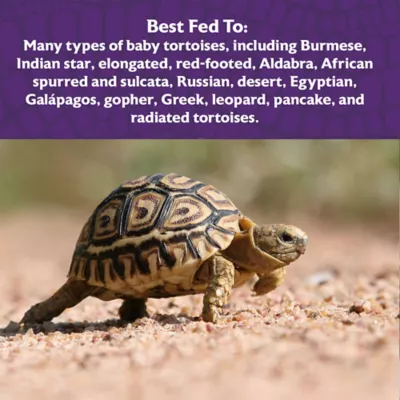 Mazuri® Juvenile Tortoise Diet Reptile Food - Image 6
