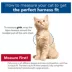 Coastal Pet Products Personalized Comfort Soft Mesh Adjustable Cat Harness image thumbnail 5