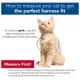 Product Coastal Pet Products Personalized Comfort Soft Mesh Adjustable Cat Harness