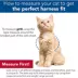 Coastal Pet Products Comfort Soft Adjustable Cat Harness with 6-ft Leash image thumbnail 3