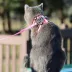 Coastal Pet Products Comfort Soft Mesh Adjustable Cat Harness image thumbnail 4