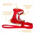 Coastal Pet Products Personalized Comfort Soft Adjustable Cat Harness with 6-ft Leash image thumbnail 2