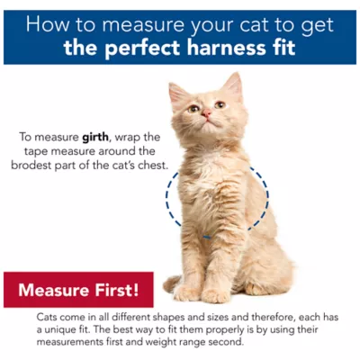 Product Coastal Pet Products Personalized Comfort Soft Adjustable Cat Harness with 6-ft Leash