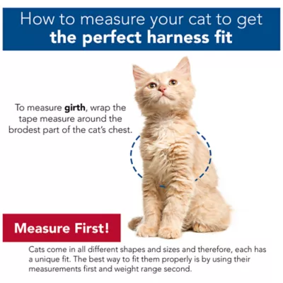 Product Coastal Pet Products Personalized Comfort Soft Adjustable Cat Harness with 6-ft Leash