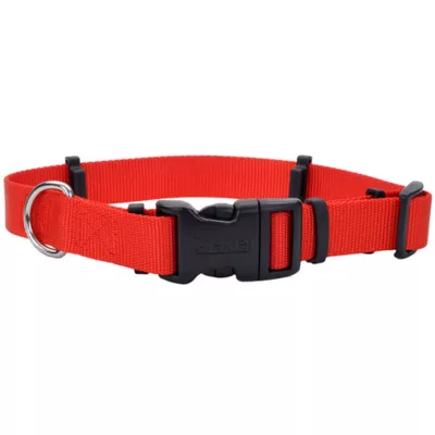 Coastal Pet Products Secure Away Adjustable Flea & Tick Collar Protector - Image 1