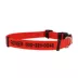 Coastal Pet Products Secure Away Adjustable Flea & Tick Collar Protector image thumbnail 2