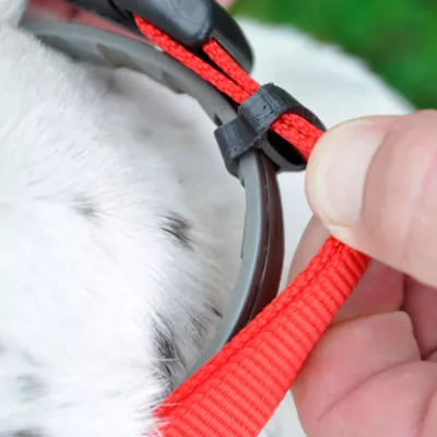 Coastal Pet Products Secure Away Adjustable Flea & Tick Collar Protector - Image 3