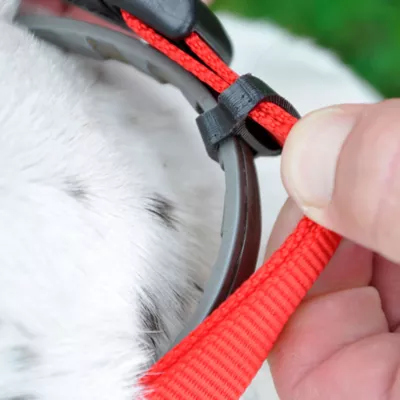 Product Coastal Pet Products Secure Away Adjustable Flea & Tick Collar Protector