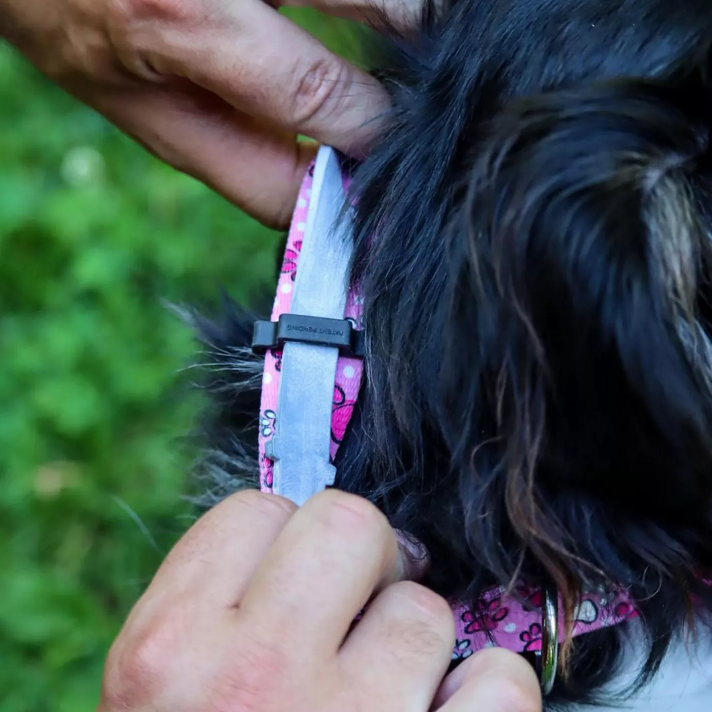 Dog collar that holds flea collar best sale