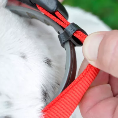 Coastal Pet Products Personalized Secure Away Adjustable Flea & Tick Collar Protector - Image 2