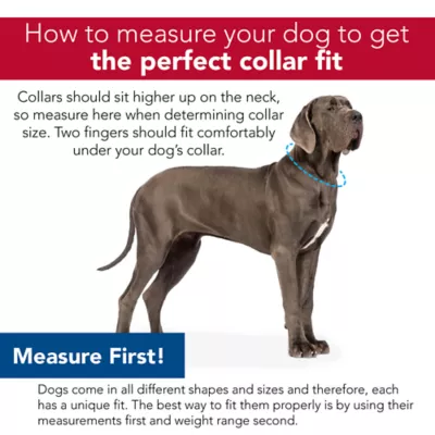 Coastal Pet Products Personalized Secure Away Adjustable Flea & Tick Collar Protector - Image 5