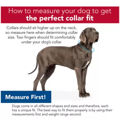 Coastal Pet Products Personalized Secure Away Adjustable Flea & Tick Collar Protector - Image 5