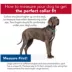 Coastal Pet Products Personalized Secure Away Adjustable Flea & Tick Collar Protector image thumbnail 5