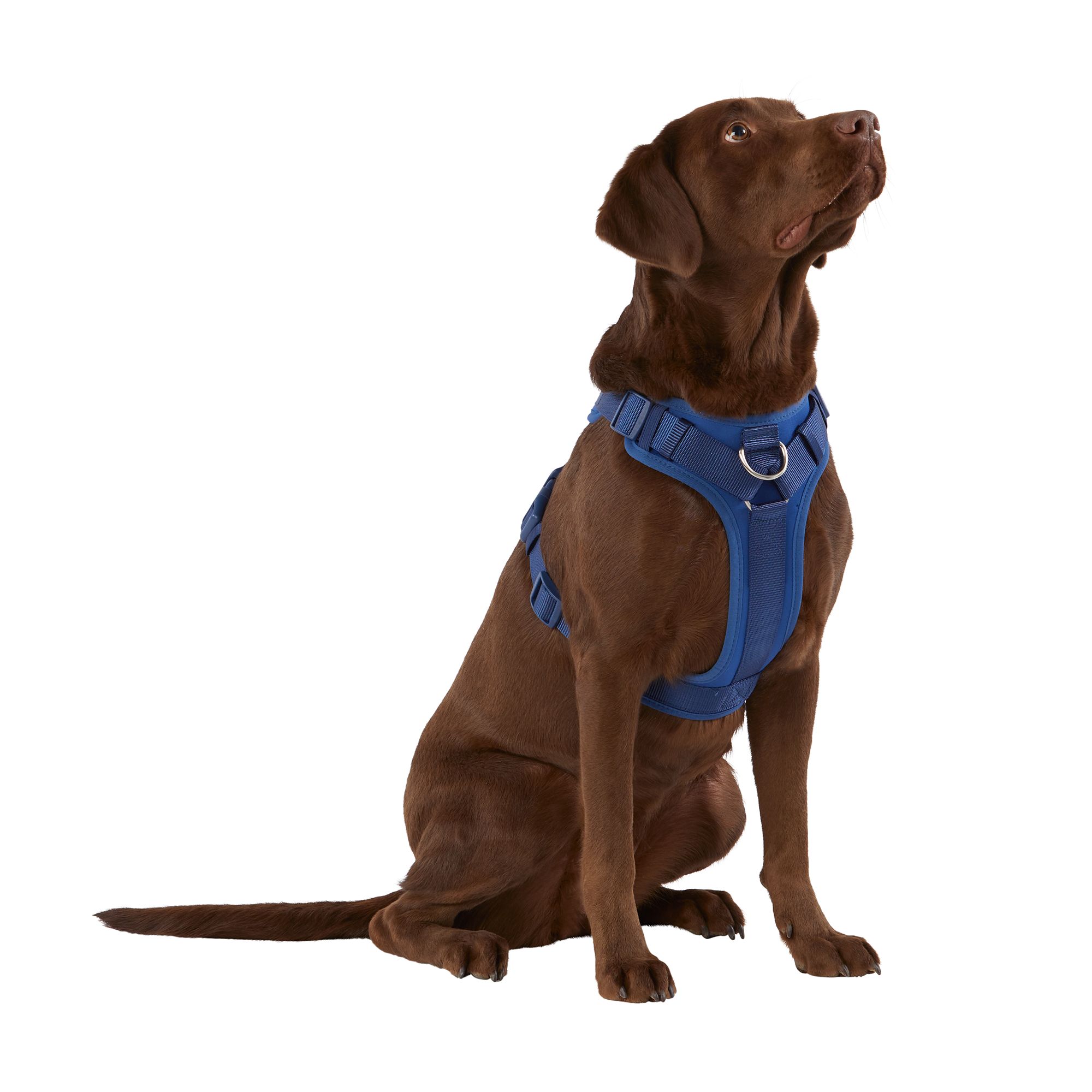 Top paw 2025 harness velcro