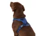 Top Paw® Neoprene Comfort Dog Harness image thumbnail 2