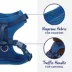 Top Paw® Neoprene Comfort Dog Harness image thumbnail 3