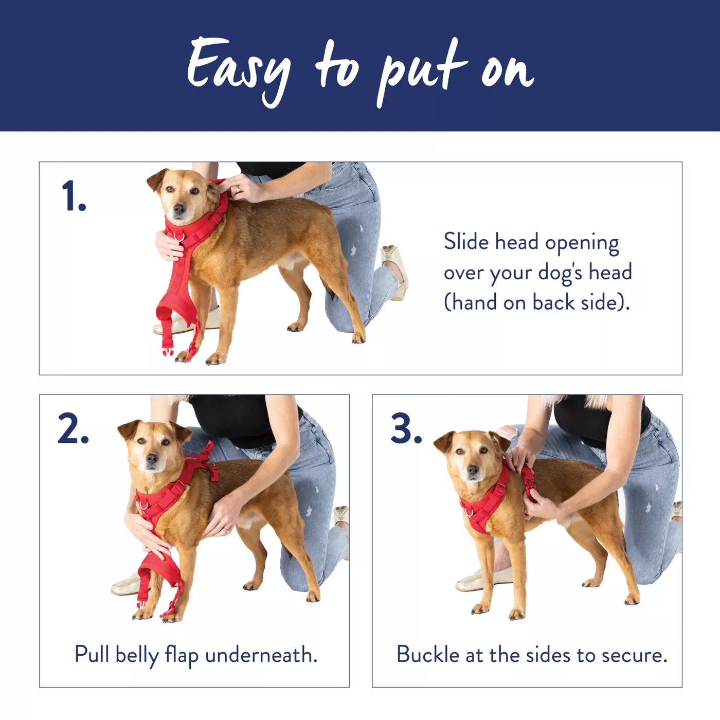 How to install dog harness best sale