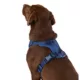 Product Top Paw® Neoprene Comfort Dog Harness