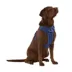 Top Paw® Neoprene Dog Harness, Adjustable, Durable, Comfortable, Multiple Sizes & Colors image thumbnail 1