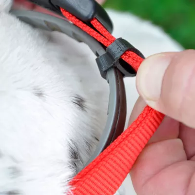 Product Coastal Pet Products Personalized Secure Away Adjustable Flea & Tick Collar Protector