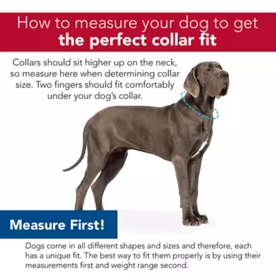 Coastal Pet Products Personalized Secure Away Adjustable Flea & Tick Collar Protector - Image 5