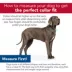 Coastal Pet Products Personalized Secure Away Adjustable Flea & Tick Collar Protector image thumbnail 5