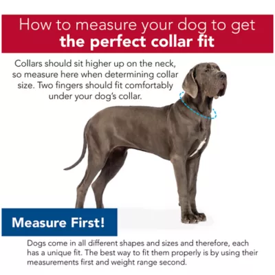 Product Coastal Pet Products Personalized Secure Away Adjustable Flea & Tick Collar Protector