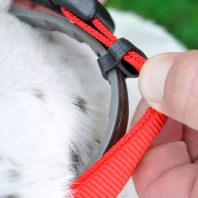 Product Coastal Pet Products Personalized Secure Away Adjustable Flea & Tick Collar Protector