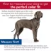 Coastal Pet Products Personalized Secure Away Adjustable Flea & Tick Collar Protector image thumbnail 5