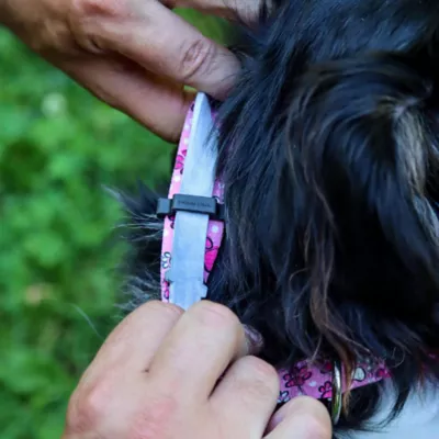 Product Coastal Pet Products Personalized Secure Away Adjustable Flea & Tick Collar Protector