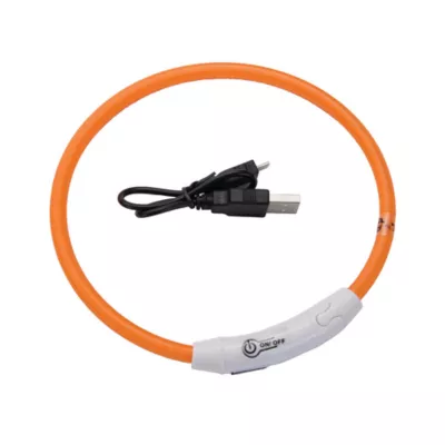 Product Coastal Pet Products USB 360-Degree Illumination Light-Up Neck Ring