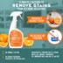  Angry Orange Pet Stain & Odor Remover image thumbnail 2