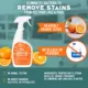 Product  Angry Orange Pet Stain & Odor Remover