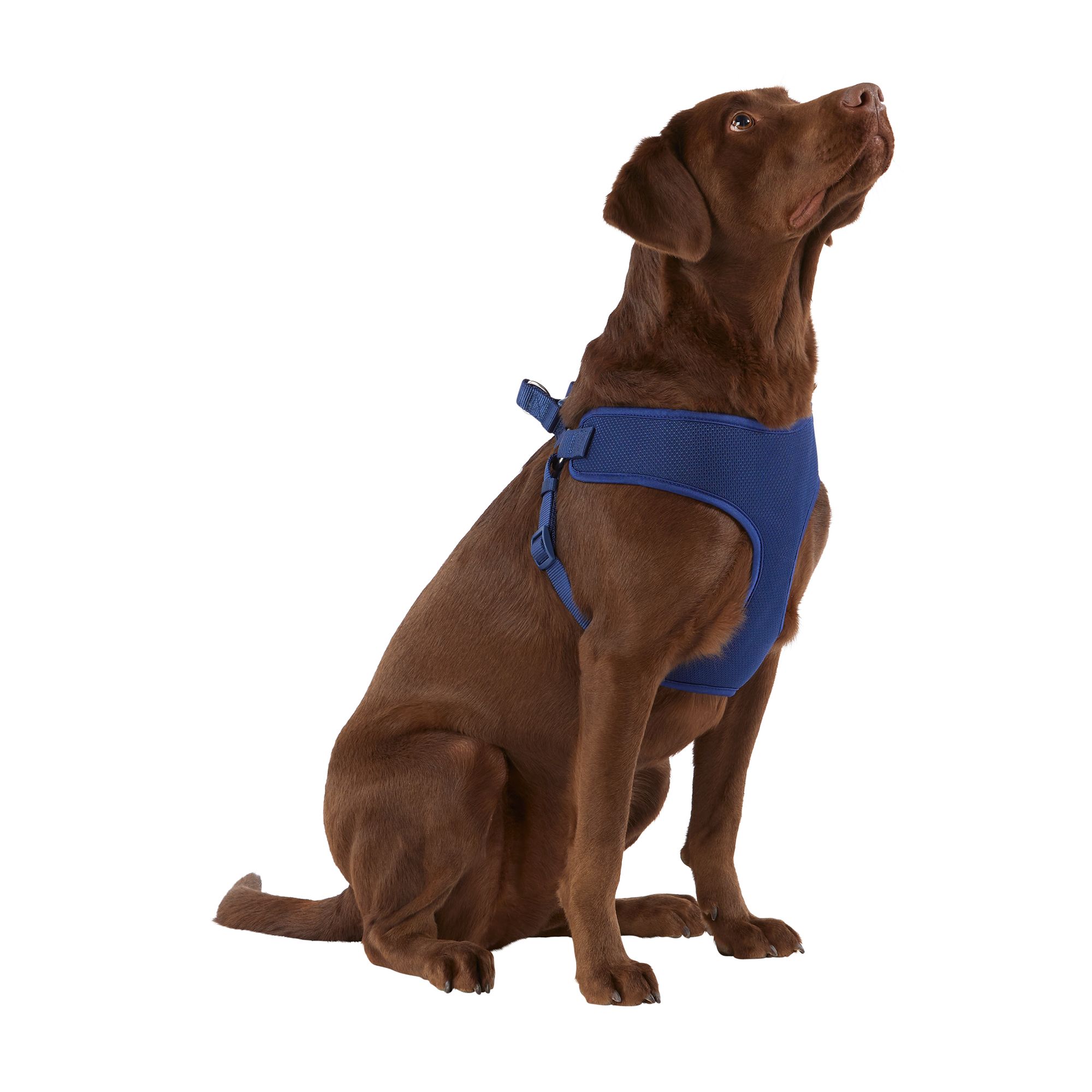 Top Paw Mesh Comfort Dog Harness dog Harnesses PetSmart