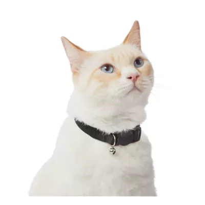 Product Whisker City® Easy Release Kitten & Cat Collar