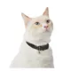 Product Whisker City® Easy Release Kitten & Cat Collar