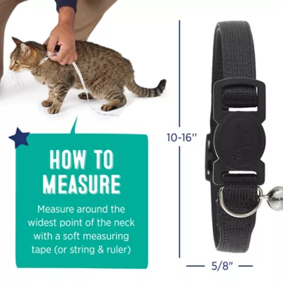 Product Whisker City® Easy Release Kitten & Cat Collar