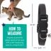 Whisker City® Easy Release Kitten & Cat Collar image thumbnail 5